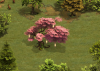 CherryTree.png