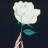 White.Rose